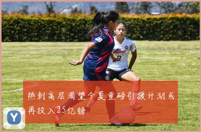 热刺高层渴望今夏重磅引援计划或再投入25亿镑